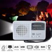 Portable Solar/Cranked Dynamo LED Flashlight with AM/FM Radio & Phone Charger - 5
