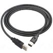 JUNSUNMAY Firewire IEEE 1394 to USB 2.0 Adaptor Cable - 4.5m - 3