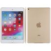 iPad Mini 5 Gold Dummy Display Model - 1