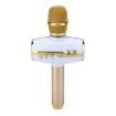 H9 Handheld KTV Karaoke Mic - High Sound Quality - Gold - 2