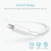 ANKER PowerLine II USB to 8 Pin MFI Charging Data Cable - 3