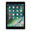 iPad 9.7 (2017) Color Screen Dummy Model (Grey + Black) - 2