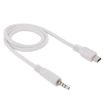 3.5mm Male to Mini USB Male Audio AUX Cable, 50cm Length - 1