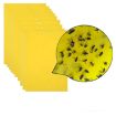 Stick Insect & Fruit Fly Trap Board - Double-Sided Yellow Melon - 2
