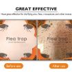 Household Flea Traps Insect Trap Lamp - 5