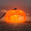 Household Flea Traps Insect Trap Lamp - 8