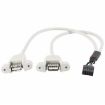 9 Pin Internal Header to 2x USB 2.0 AF Mount Pannel Cable - 30cm Length - 1