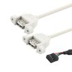 9 Pin Internal Header to 2x USB 2.0 AF Mount Pannel Cable - 30cm Length - 2