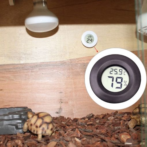 Digital Reptile Box Thermometer & Hygrometer - Black - 1