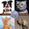 Samsung Galaxy SmartTag 2 Pet Life Waterproof Silicone Protective Case - Black Bone - 6