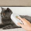 Pet Electric Spray Comb Rechargeable Cat Grooming Brush (Coffee) - 9