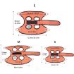 Small Pet Grooming Hammock Cats Dog Clipping Nail Holder Hanger - 3