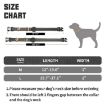 Picture of For AirTag Tracker Silicone Sleeve Medium Dog Collar Nylon Reflective Anti-Tangle Pet Collar, Size: L (Black)