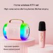 Y5 2 Microphone Portable Bluetooth Speaker - Black - 8