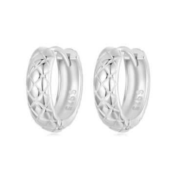 Picture of S925 Sterling Silver Platinum Plated Diamond Pattern Earrings (BSE983)