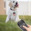 Dual Ultrasonic Pet Repeller Stop Barker - Black - 2