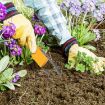 Handheld Garden Weeder Tool (Yellow) - 4