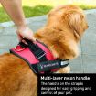 XL Black K9 Chest Strap Traction Rope for 28-40kg Dogs - 4