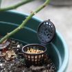 10PCS Bonsai Tools Gardening Products - Large Size: 6 x 4cm - 5