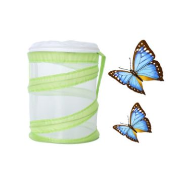 Foldable Butterfly Insect Cage Small Feeding Cage Green - 1