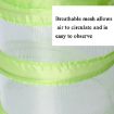 Foldable Butterfly Insect Cage Small Feeding Cage Green - 4
