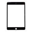 Front Screen Outer Glass Lens for iPad Mini 4 A1538 A1550 - Black - 2
