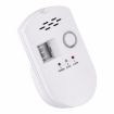 Combustible Gas Pipeline Digital Display Alarm EU Plug - 1