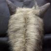 Latex Wolf Head Halloween Mask - Masquerade Party Costume - 3