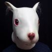 Lovely Halloween Rabbit Mask with Villus Ears for Men and Women - 3