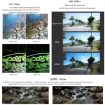 Insta360 GO 2/GO 3 Camera Lens Filter 6 in 1 STAR CPL ND4 ND8 ND16 ND32 - 5