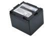 Battery for Panasonic VDR-M75 M70PP M53 M50PP M30 D400 D310 (CGA-DU14) - 1