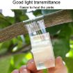 7cm Garden Grafting Tape Fruit Tree Seedling Self-Adhesive Wrap - 6