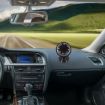 Nisa LC500 Car Compass Ball - Car Decoration - 5