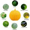 Outdoor Fruit Fly Mosquito Citrus Trap Sticky Ball - 2