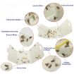 Moth Catcher Insect Trap Sticker - Effective Pest Control - 3