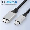 USB-C to Micro B Adapter Cable - 0.3m Length - 4