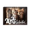 2025 Kitty Cats English Calendar Wall Calendar - 1
