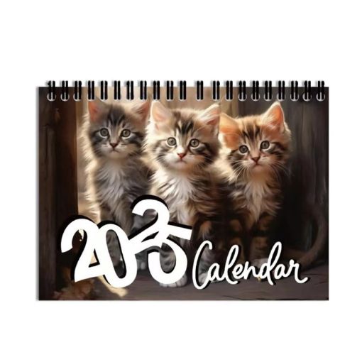 2025 Kitty Cats English Calendar Wall Calendar - 1