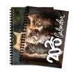 2025 Kitty Cats English Calendar Wall Calendar - 2