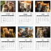 2025 Kitty Cats English Calendar Wall Calendar - 4