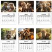 2025 Kitty Cats English Calendar Wall Calendar - 5