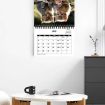 2025 Kitty Cats English Calendar Wall Calendar - 7
