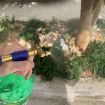Adjustable Garden Manual Sprayer for Bottles - 7