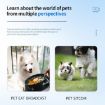 A9 Pet Recorder Tracking Playback IPX6 Waterproof - White - 9