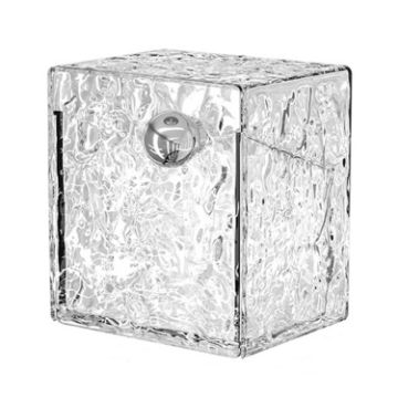 Wall Mounted Bathroom Storage Box - Transparent Silver - 1