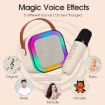 Outdoor Wireless Karaoke Speaker with Dual Mic Blue - 4
