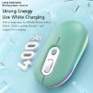 Rechargeable Wireless Mouse 2.4G Pink - 5