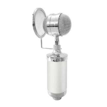 3000 Home KTV Mic Condenser Sound Recording Microphone (White) - 1