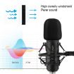 Yanmai Q8 Professional Game Condenser Microphone with Holder - Black - 7