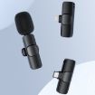 Type-C/USB-C Mini Wireless Lavalier Microphone - 2